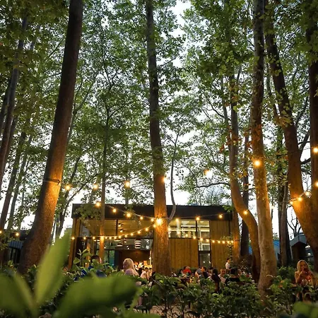 Appartamento Azur Alegria Luxury With Pool Access Saints Constantine and Helena