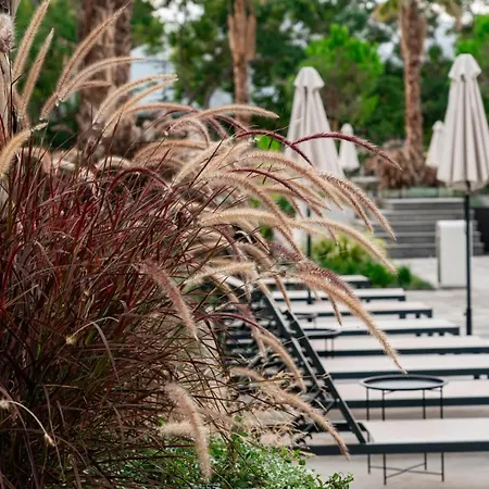 アパート Azur Alegria Luxury With Pool Access セインツ・コンスタンティン＆ヘレナ